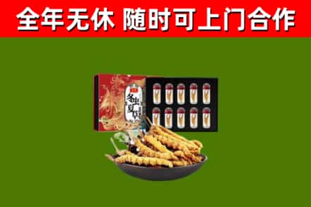 信阳烟酒回收冬虫夏草礼盒.jpg